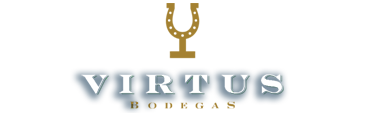 Nuevo-Logo-Virtus-Bodegas_1